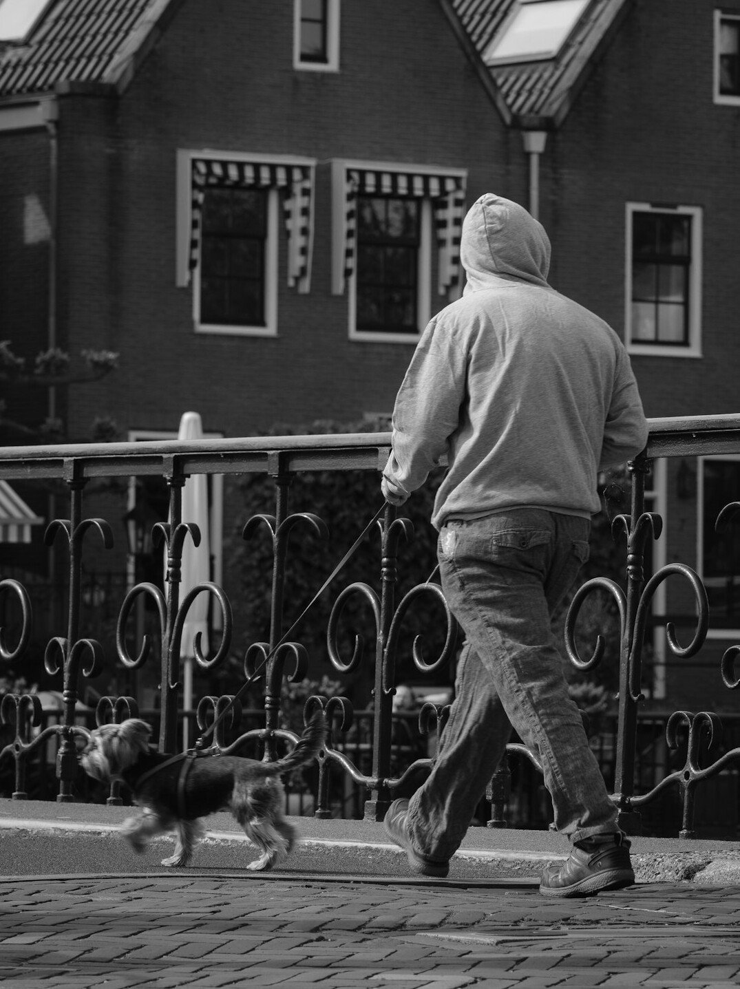 South Asian man in his thirties walking a dog down a quiet residential city street